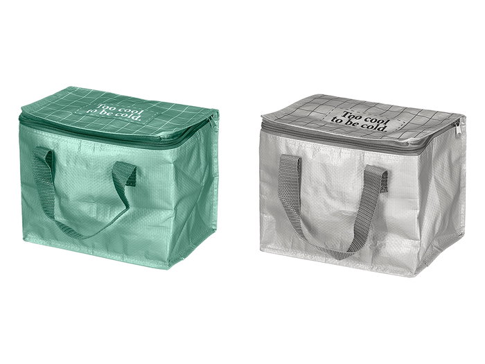 Leknes Sac Isotherme 5L Assorti Vert Gris 25x12x18 cm Plastique Aluminium (Set de 24)