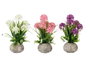 IBERGARDEN Lot de 6 Pots de Fleurs Rustiques Ronds - Assortiment 3 Couleurs