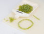 Innspiro Rocaille de verre ronde aurora boreale vert avocat 3,8 mm 500g