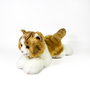 DEQUBE Peluche Chat Marron et Blanc Allongé 25cm licence BOCALAN +0 mois