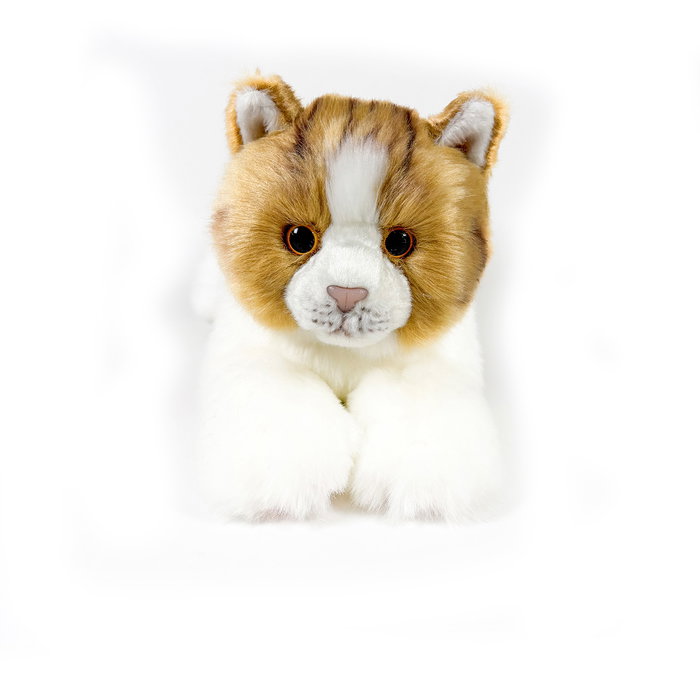 DEQUBE Peluche Chat Marron et Blanc Allongé 25cm licence BOCALAN +0 mois DEQUBE Peluche Chat Marron et Blanc Allongé 25cm licence BOCALAN +0 mois