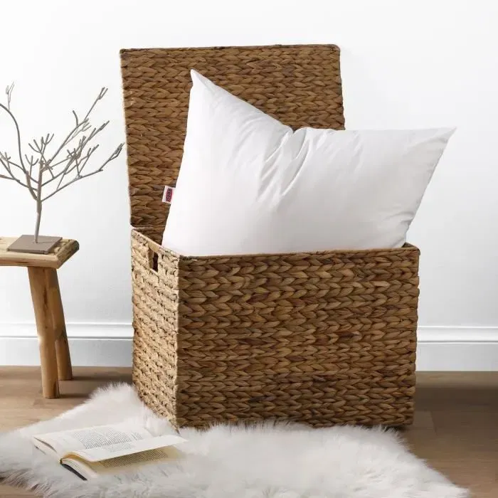 Dodo - Lot de 2 Oreillers Belle Nuit 60 x 60 cm - Blanc - Anti-acariens - Garnissage Polyester Moelleux et Lavable