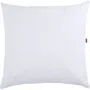 Dodo - Lot de 2 Oreillers Belle Nuit 60 x 60 cm - Blanc - Anti-acariens - Garnissage Polyester Moelleux et Lavable