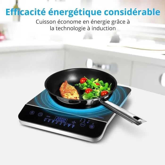 Medion Plaque à induction posable MD 17595 - 2000 W - 1 Feu - Dimensions 29 x 36 cm - Cuisson rapide - Noire