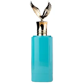 Emir Celestial Eau de Parfum pour hommes 100 ml
