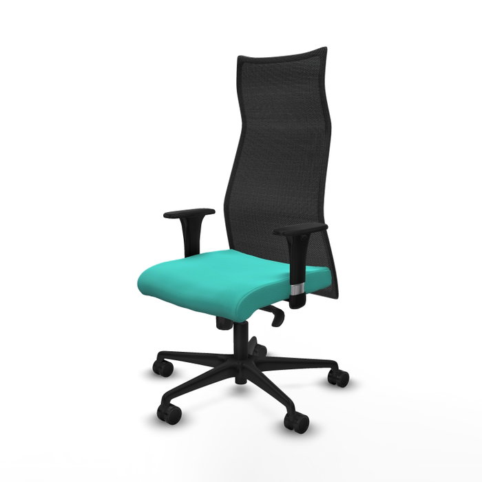 Piqueras y Crespo Chaise de Bureau Albacete XL Turquoise et Noir Piqueras y Crespo Chaise de Bureau Albacete XL Turquoise et Noir