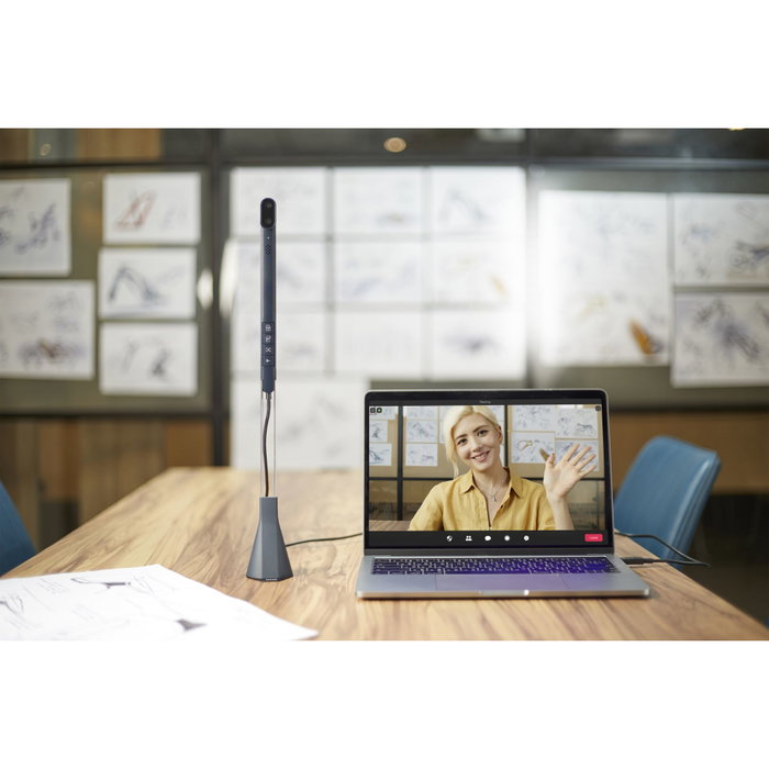 Ipevo TOTEM Caméra de vidéoconférence 4K 120 Grad