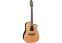 TAKAMINE GB7 A/E Dreadnought Garth Brooks