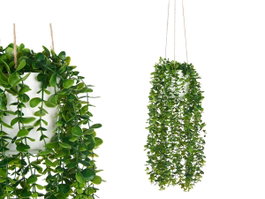 IBERGARDEN Lot de 6 Pots Suspendus en Plastique Vert avec Arrosoir et Corde