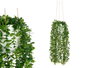IBERGARDEN Lot de 6 Pots Suspendus en Plastique Vert avec Arrosoir et Corde