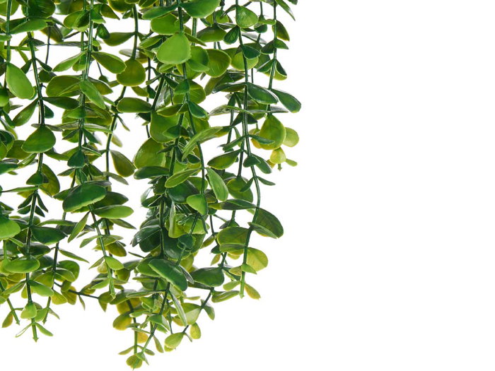 IBERGARDEN Lot de 6 Pots Suspendus en Plastique Vert avec Arrosoir et Corde