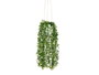 IBERGARDEN Lot de 6 Pots Suspendus en Plastique Vert avec Arrosoir et Corde