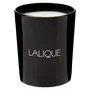 Lalique Bougie parfumée Figuier Amalfi 190 g