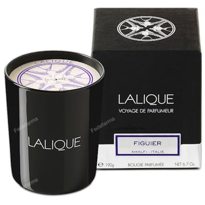 Lalique Bougie parfumée Figuier Amalfi 190 g