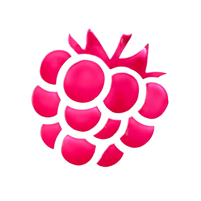 Essence WHAT A TINT! Teinte pour Lèvres et Joues #10-Raspberry Vibes 5 gr