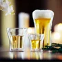 Bodum Assam - Set de 2 verres à double paroi en verre borosilicate - 0.2L - Isotherme et sans condensation - Transparent - Pour boissons chaudes et froides