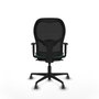 Piqueras y Crespo Chaise de Bureau 1D036G0 Vert émeraude