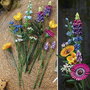 LEGO Icons Bouquet de fleurs sauvages 10313 avec 8 variétés de fleurs sauvages de construction pour adultes de la collection Botanical collection