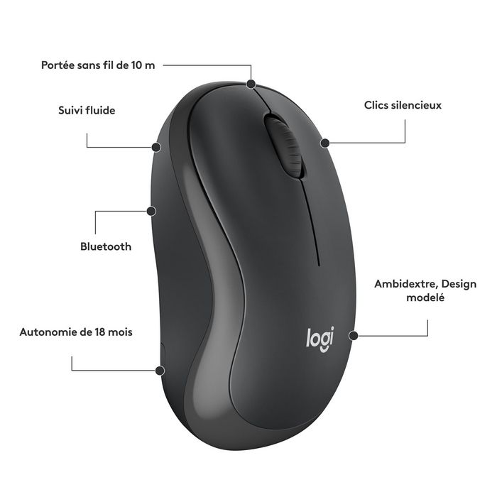 Logitech M240 Souris Bluetooth sans fil silencieuse (clic réduit 90%), autonomie 18 mois, compacte, ambidextre, compatible Windows/macOS/ChromeOS/Android