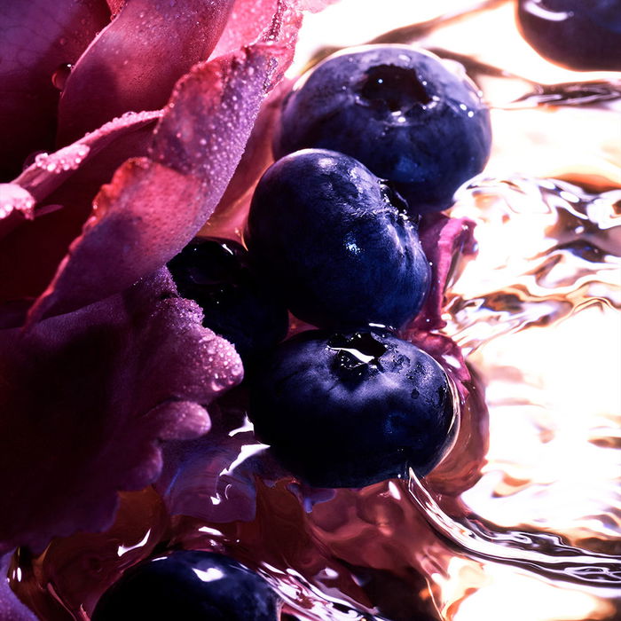 Guerlain La Petite Robe Noire Intense Eau de Parfum Vapo 20 ml pour Femme Guerlain La Petite Robe Noire Intense Eau de Parfum Vapo 20 ml pour Femme