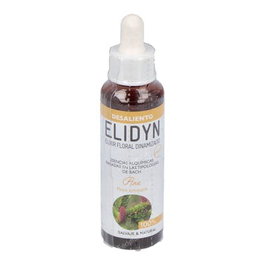 ELIDYN PINE 20ml