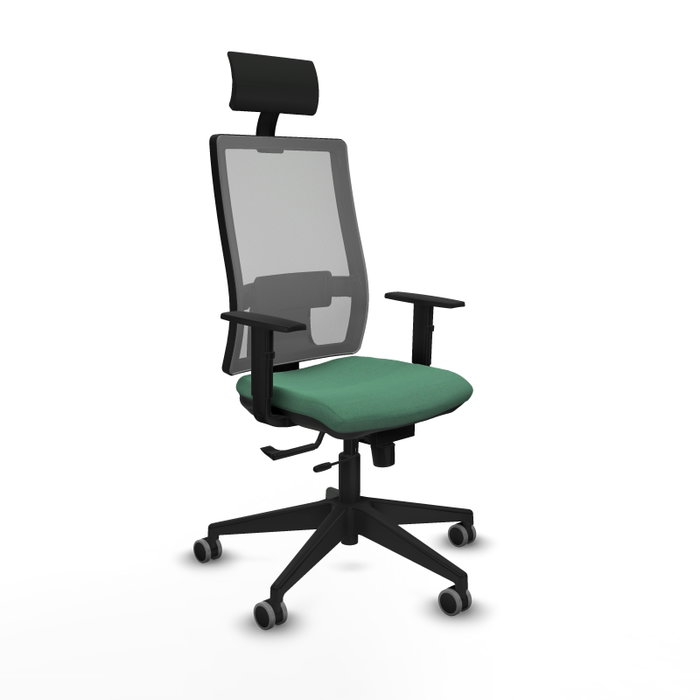 Piqueras y Crespo 1D066G1 Chaise de Bureau avec Appui-tête Vert émeraude et Gris Piqueras y Crespo 1D066G1 Chaise de Bureau avec Appui-tête Vert émeraude et Gris