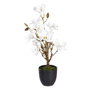 BigBuy Home Plante décorative Magnolia (30 x 30 x 60 cm)