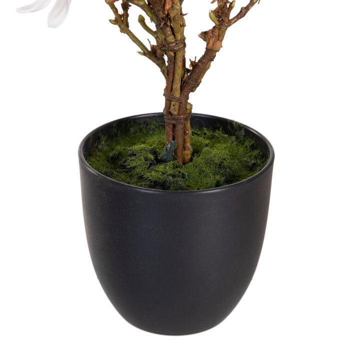 BigBuy Home Plante décorative Magnolia (30 x 30 x 60 cm)