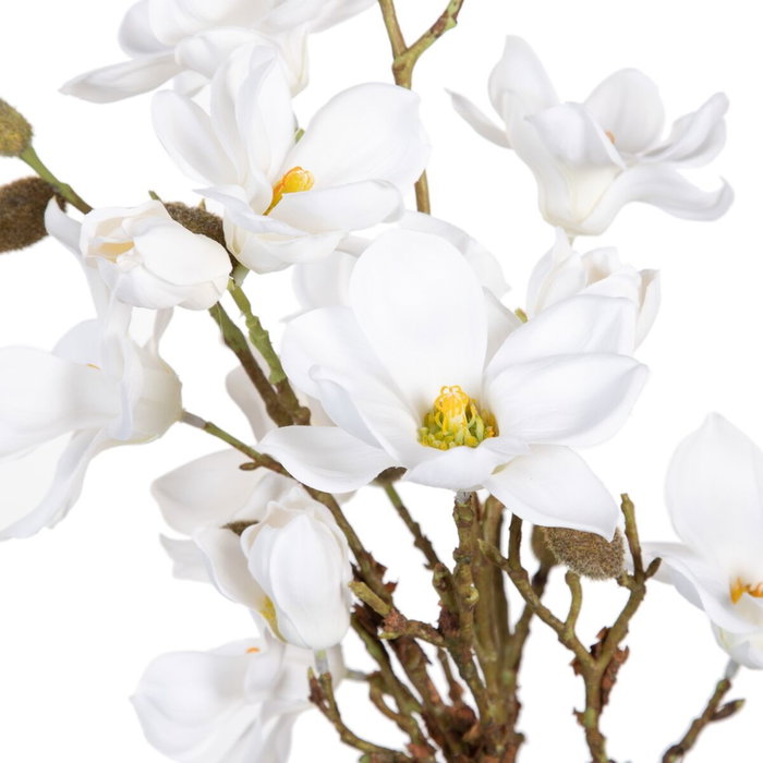 BigBuy Home Plante décorative Magnolia (30 x 30 x 60 cm)