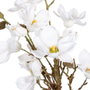 BigBuy Home Plante décorative Magnolia (30 x 30 x 60 cm)