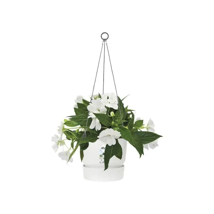ELHO Pot de fleurs suspendu extérieur Greenville Blanc - Ø 23,9 cm x H 20,3 cm - 6,4 L - Plastique recyclé résistant au gel