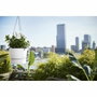Elho Pot de fleurs à suspendre Greenville Blanc Ø 23,9 x H 20,3 cm