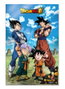Sd toys Poster 3D 58x38 cm Dragon Ball Super Battle of Gods Goku Vegeta Family Lenticulaire