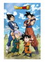 Sd toys Poster 3D 58x38 cm Dragon Ball Super Battle of Gods Goku Vegeta Family Lenticulaire