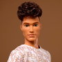 Mattel Ken Signature, Poupée pour Enfants de 36 Mois et Plus, Figurine