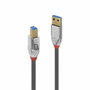 Lindy Câble USB 3.2 Type A vers B Cromo Line 3m