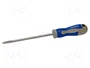 Irimo Tournevis à embout plat 0,6 x 3,5 x 100 mm