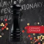 Fackelmann Professional Lot de 2 moulins à poivre et sel manuels avec mécanisme céramique - Noir, 18 cm
