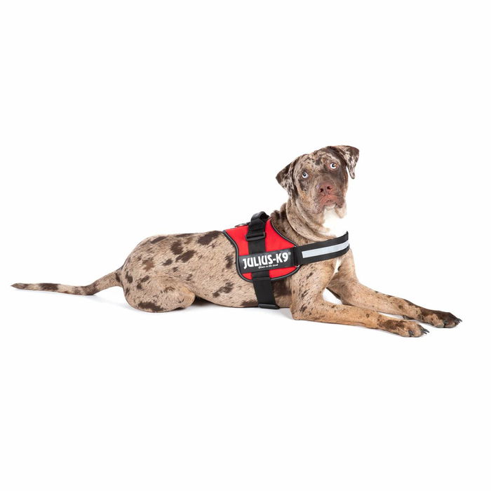 Harnais pour Chien Julius K9 Power Rouge L/XL 2 Harnais pour Chien Julius K9 Power Rouge L/XL 2