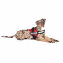 Harnais pour Chien Julius K9 Power Rouge L/XL 2