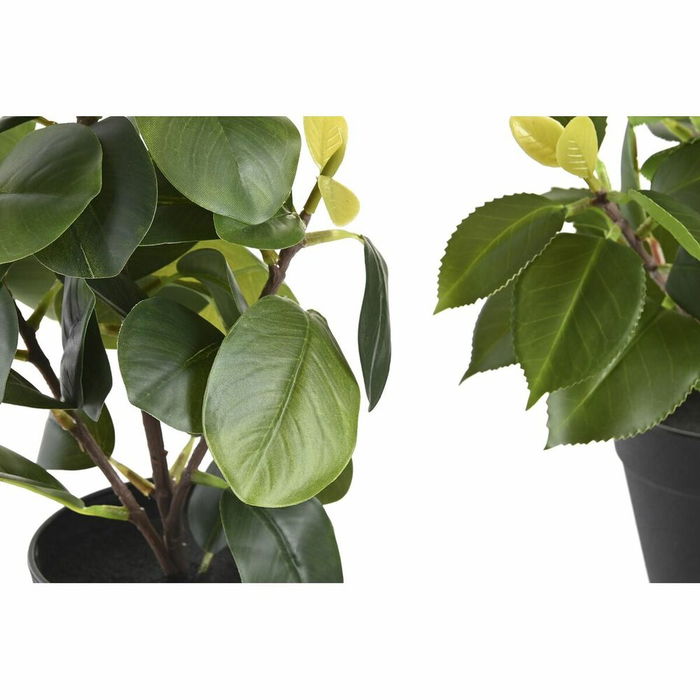 Plante décorative DKD Home Decor Vert PP PE Ficus (2 Unités) (21 x 18 x 30 cm)