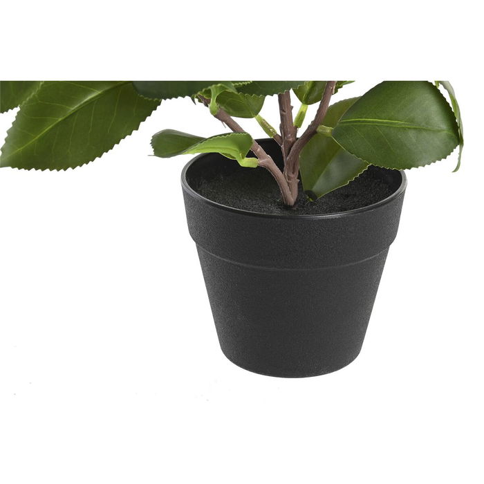 Plante décorative DKD Home Decor Vert PP PE Ficus (2 Unités) (21 x 18 x 30 cm)