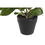 Plante décorative DKD Home Decor Vert PP PE Ficus (2 Unités) (21 x 18 x 30 cm)