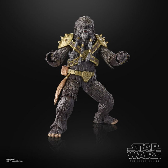 Hasbro Star Wars The Black Series Figurine Krrsantan - Collection articulée Star Wars Le Livre de Boba Fett
