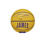 Ballon de basket Wilson Nba Player Icon Mini Lebron Violet (Taille 3)