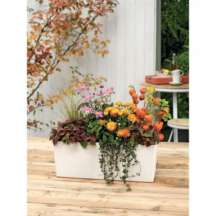 Lechuza Jardinière Balconera Color 50 ALL-IN-ONE Blanc et Noir