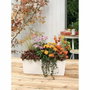 Lechuza Jardinière Balconera Color 50 ALL-IN-ONE Blanc et Noir