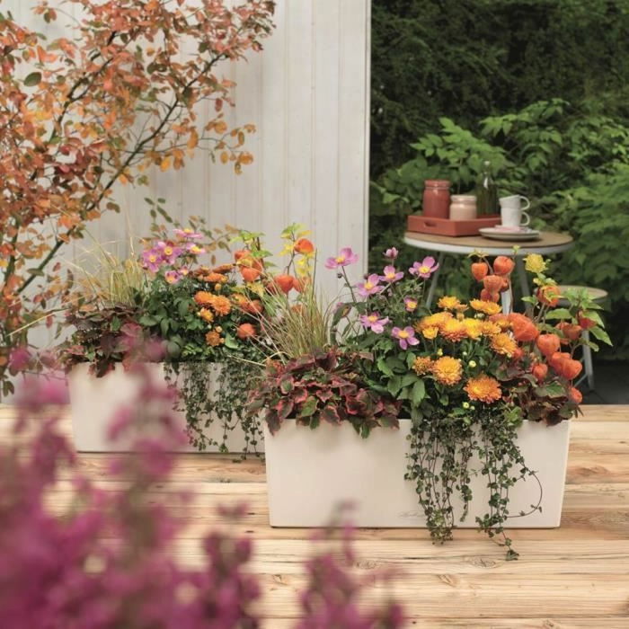 Lechuza Balconera Color 50 TODO EN UNO Jardinière Blanc 15670