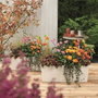 Lechuza Jardinière Balconera Color 50 ALL-IN-ONE Blanc et Noir