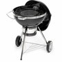Fieldmann Barbecue au charbon de bois FZG 1017